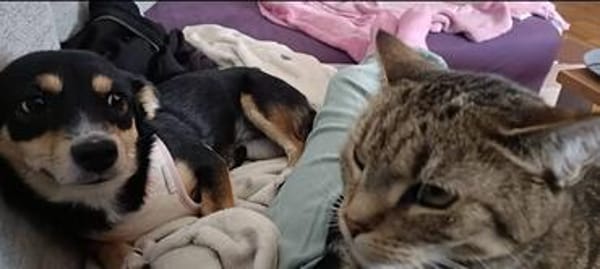 Süße Keisy🌺 sucht liebevolles Zuhause
