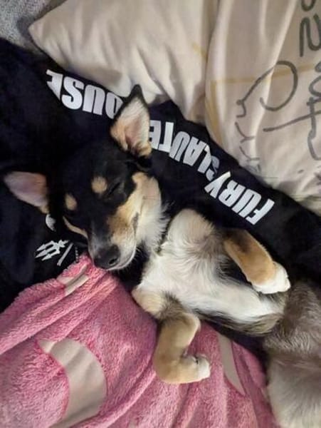 Süße Keisy🌺 sucht liebevolles Zuhause