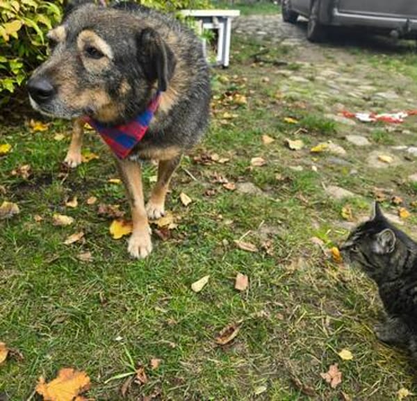 Freundlicher,lieber Bruno