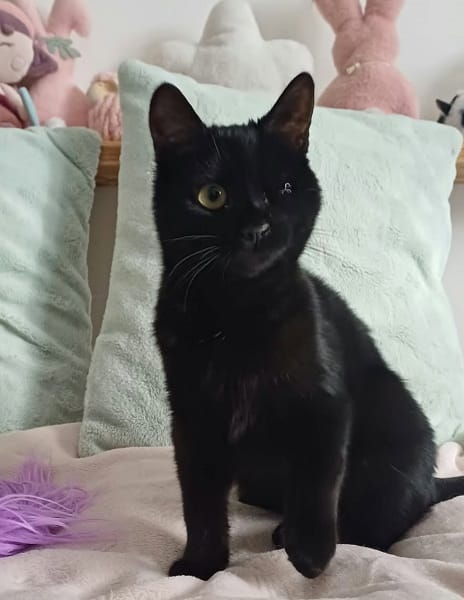 BABYLONE
