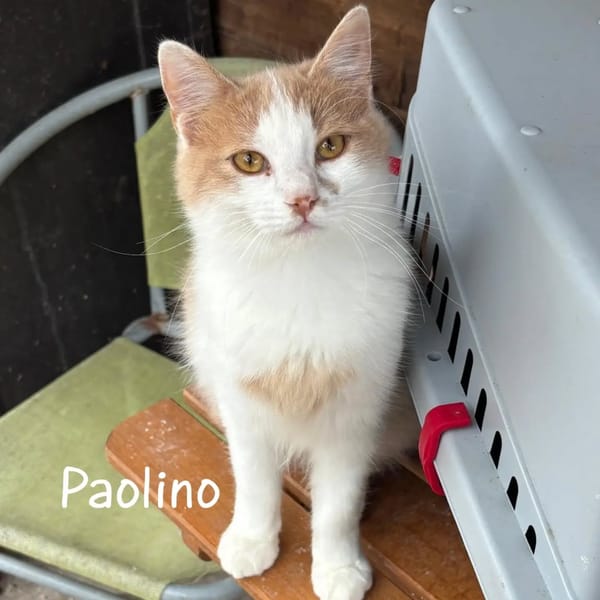 GIACOMINO E PAOLINO