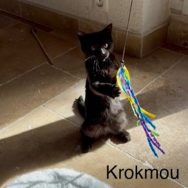 KROKMOU