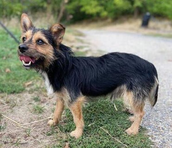 Kleiner RAGNAR