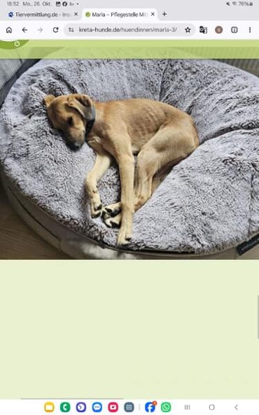 Maria (Nala) möchte endlich ankommen