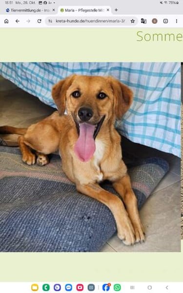 Maria (Nala) möchte endlich ankommen