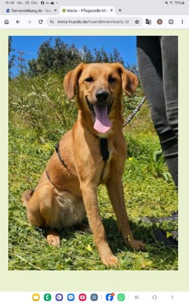 Maria (Nala) möchte endlich ankommen