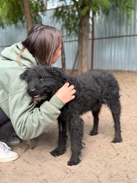 Gombi Liebevoller Senior sucht sein Happy-End!