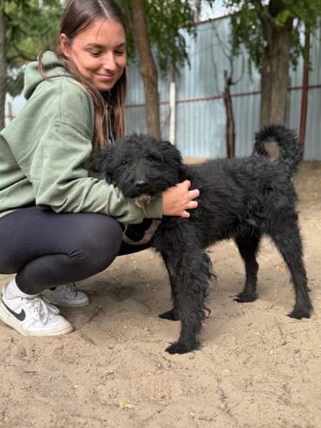 Gombi Liebevoller Senior sucht sein Happy-End!