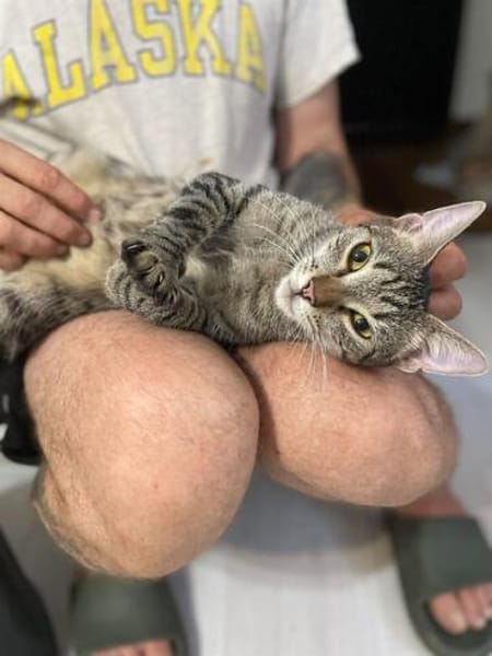 Kiki sucht tolles zu Hause