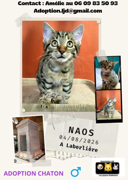 Naos