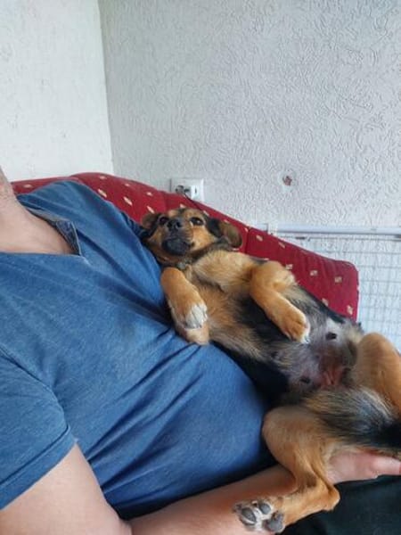 Freundliche Liddy sucht ihr Endzuhause