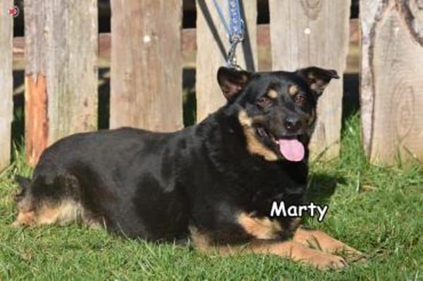 MARTY