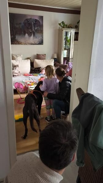 Chups eine hübsche liebevolle Labrador/ Aussie Hündin