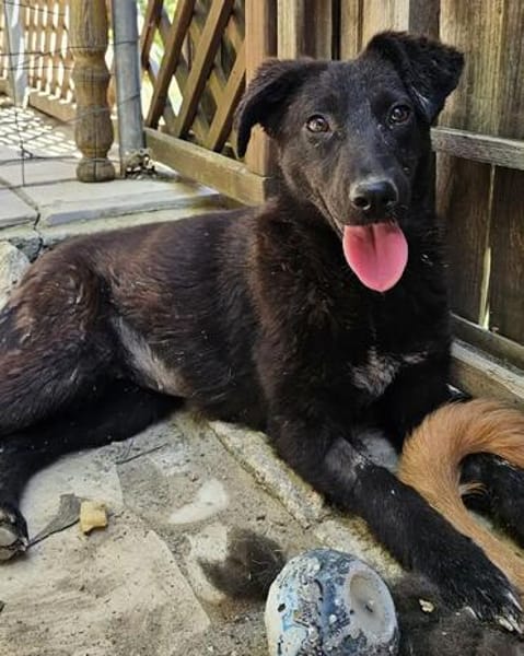 Sally, wann kannst du aufbrechen