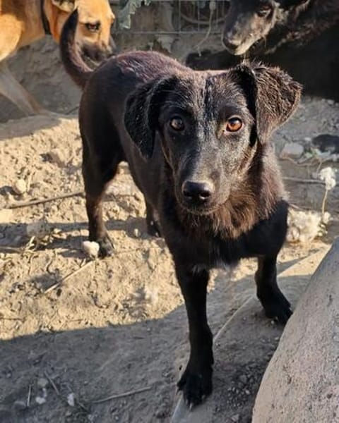 Sally, wann kannst du aufbrechen