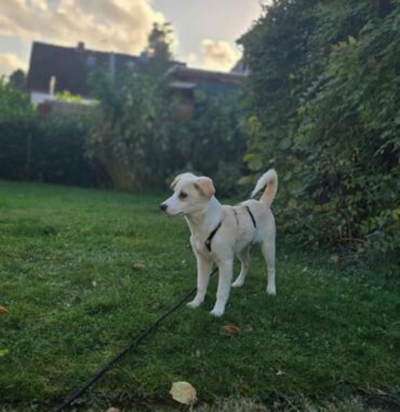 Malin sucht ihre Familie