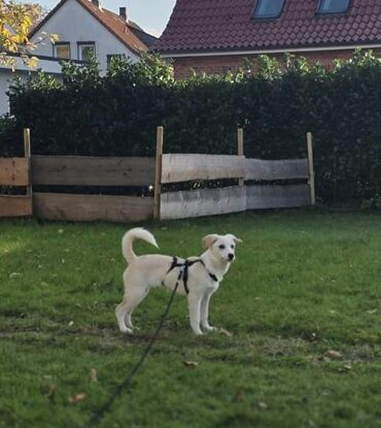 Malin sucht ihre Familie