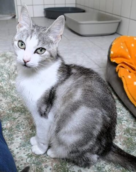 Hallo, ich bin die Amelie!