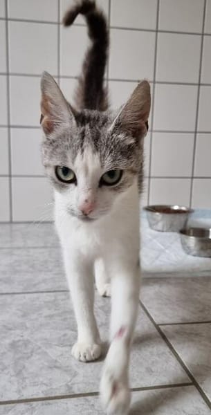 Hallo, ich bin die Amelie!
