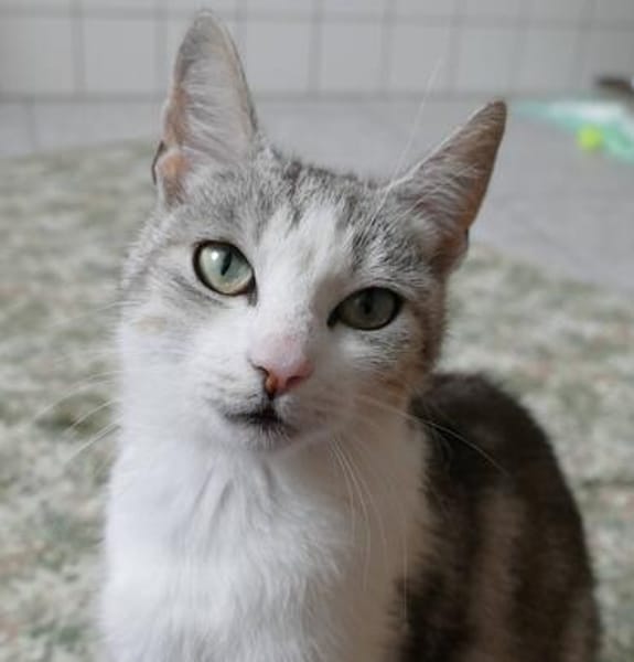 Hallo, ich bin die Amelie!