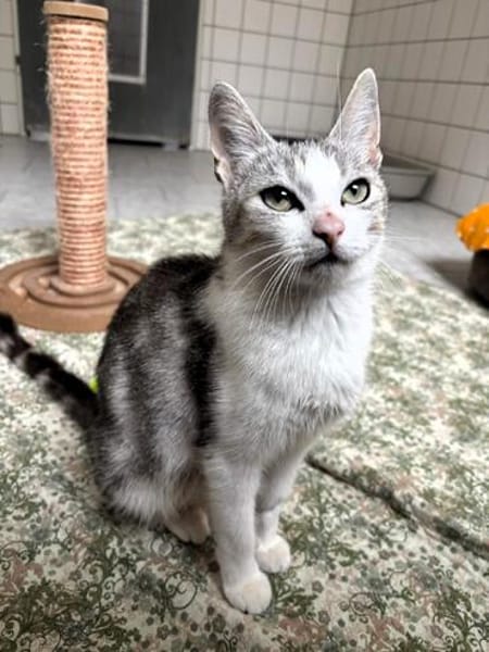 Hallo, ich bin die Amelie!