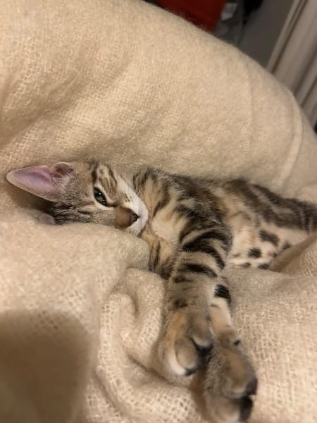 Mila