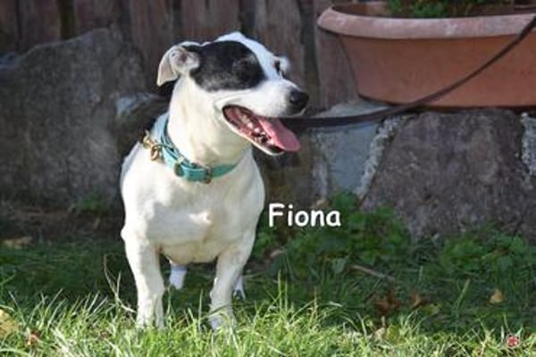 FIONA