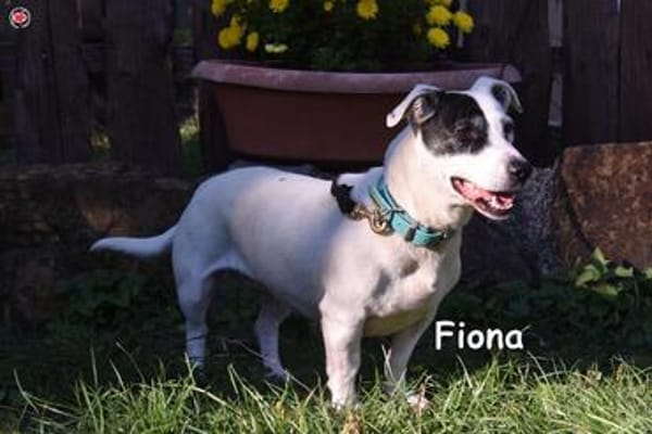 FIONA