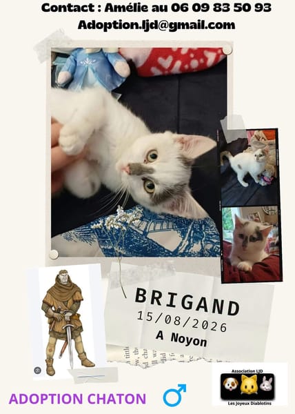 Brigand