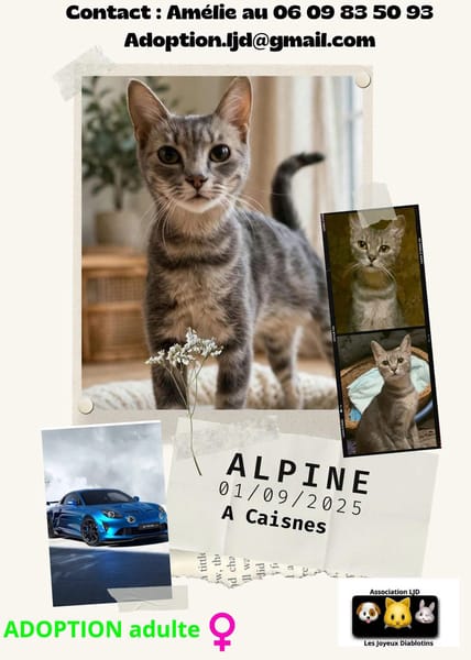 Alpine