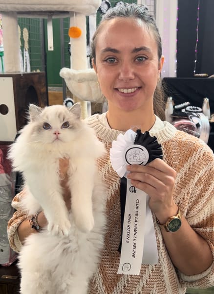 Les Ragdolls du Jardin de Gaia