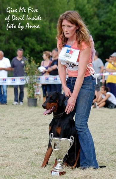 Dobermann of devil inside