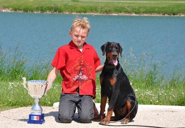 Dobermann of devil inside