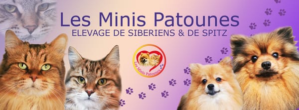 les minis patounes