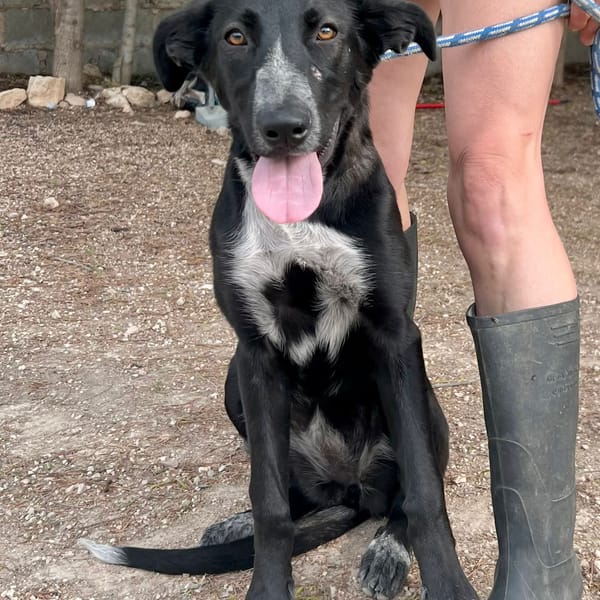 ESTRELLA (Maria) — Unknown