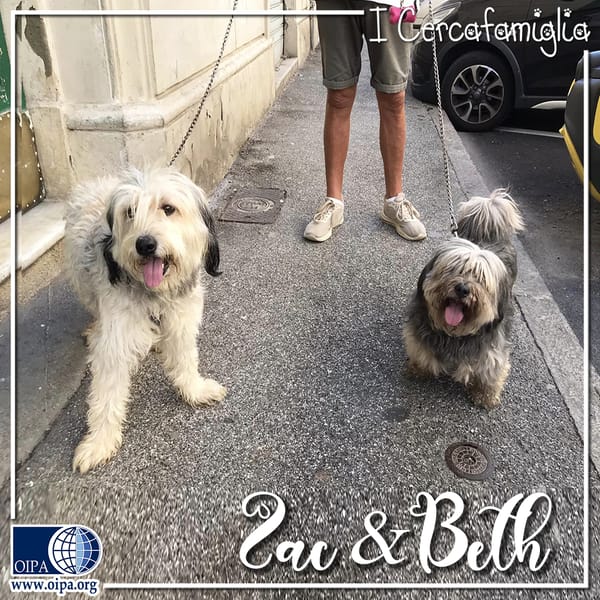 Zac e Beth — Unknown