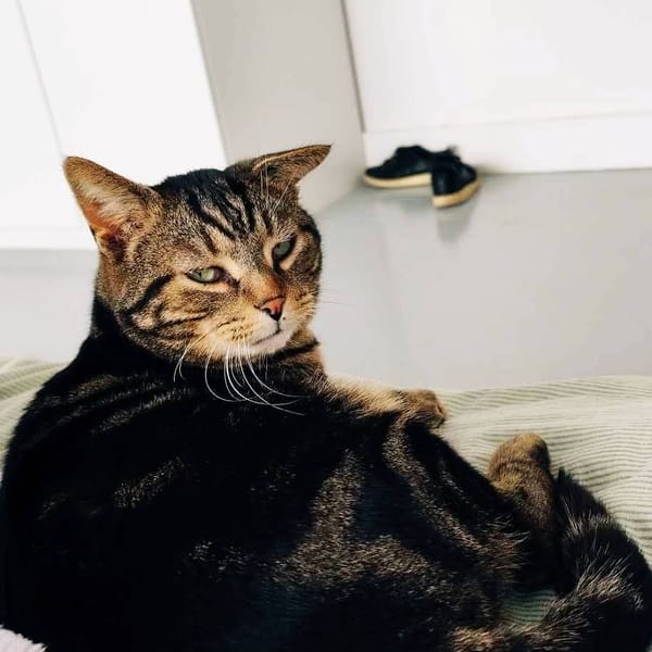 Einstein — Unknown