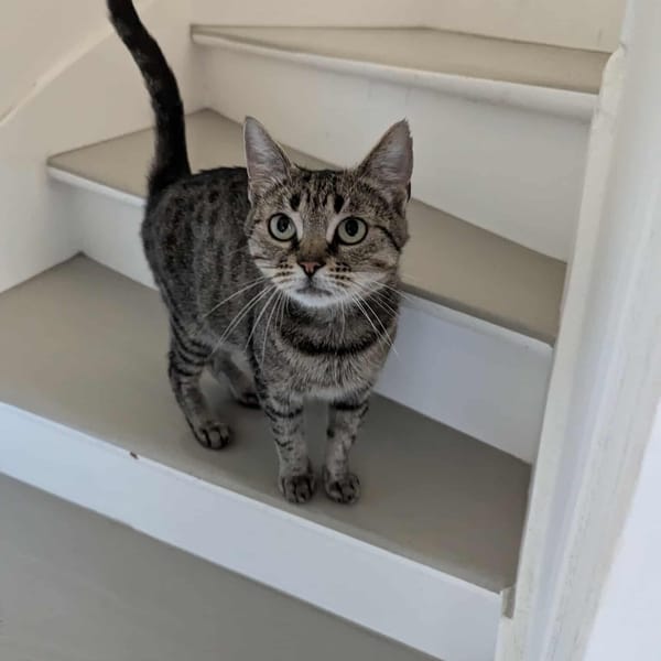 APHRODITE — Unknown