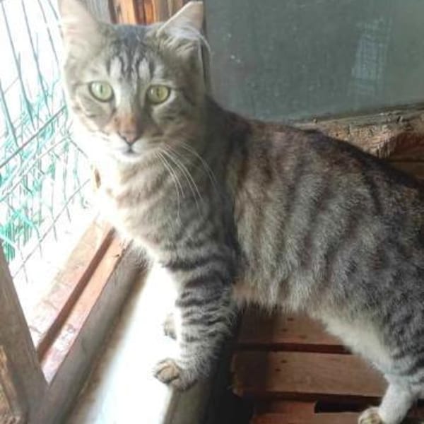 CAKIR & TOPRAK - auch Einzelvermittlung — Ekh