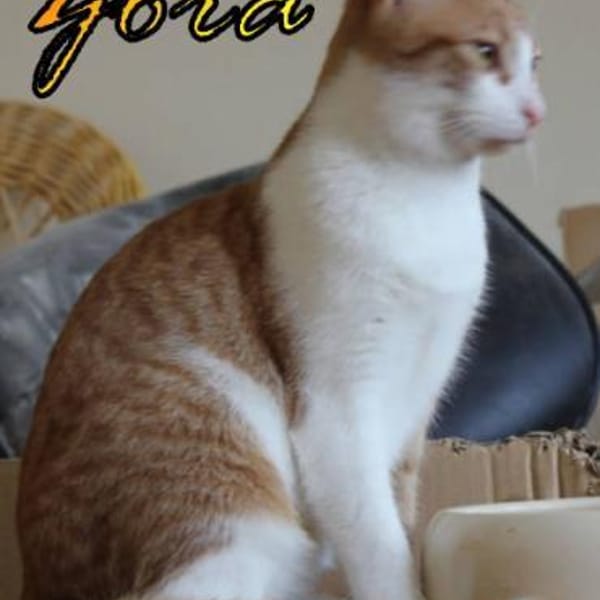 Vermittlungshilfe Zora 86685 Huisheim — Ekh