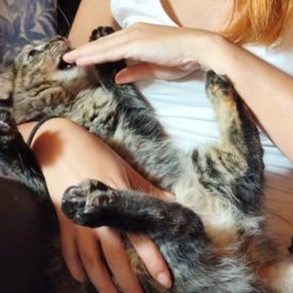 Sehbehinderte Kiraz sucht ihre Familie — Ekh-langhaar