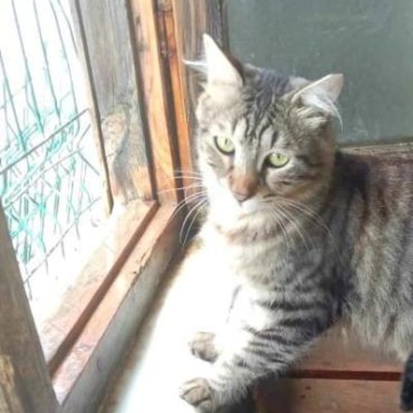 TOPRAK & CAKIR - suchen dringend...... — Ekh