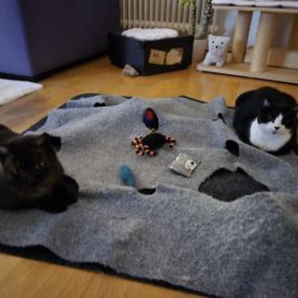 Schüchterne Dunia in FFM (ALM) — Ekh