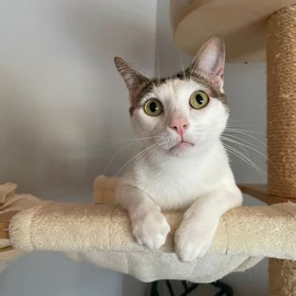 Caspar und Milo /Virneburg(ALO) — Ekh