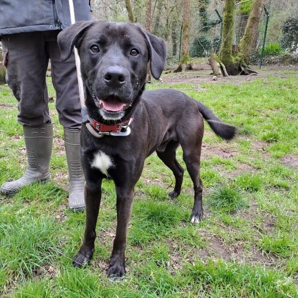 GUCCI Réservé — Croisé / Autre