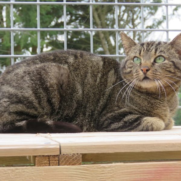 eureka — Européen