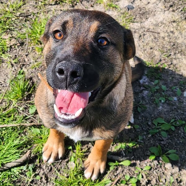 FABIO — Croisé / Autre