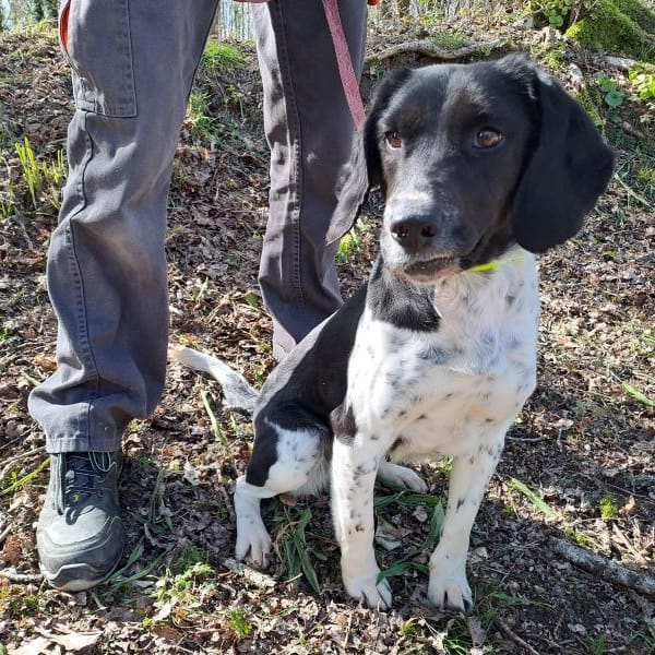 Réservée RUBY — Croisé / Autre
