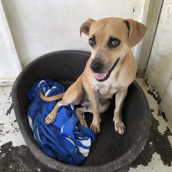 HARMONIE Réservée — Croisé / Autre