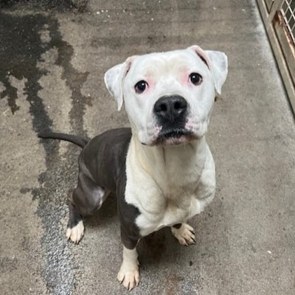 RIDER — Croisé / Autre